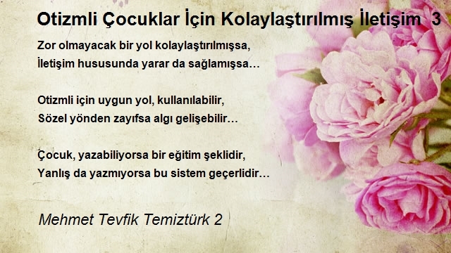 Mehmet Tevfik Temiztürk 2