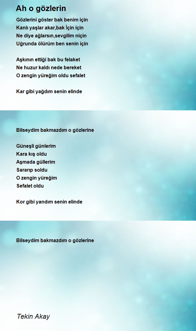Tekin Akay