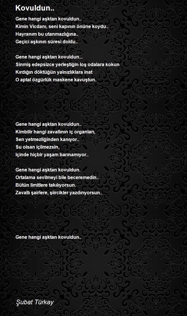 Şubat Türkay