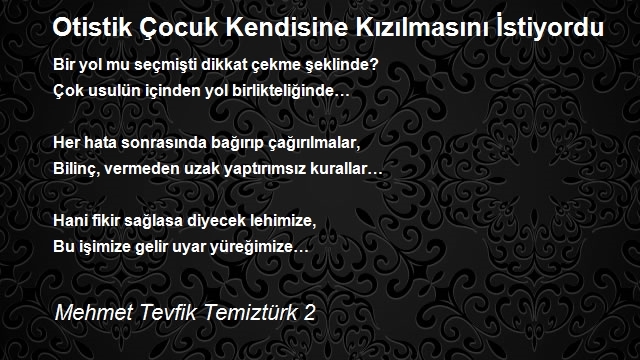 Mehmet Tevfik Temiztürk 2