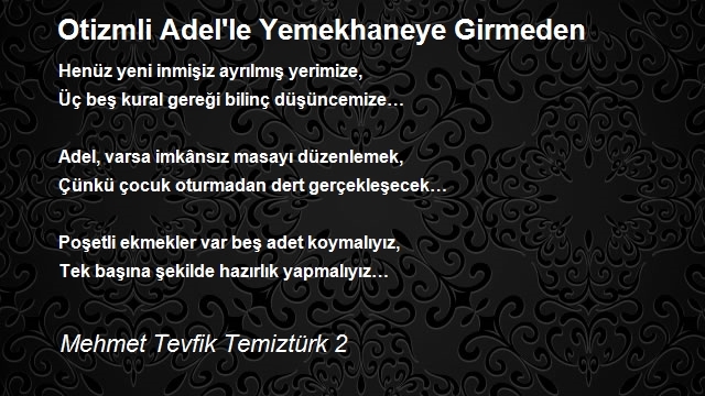 Mehmet Tevfik Temiztürk 2