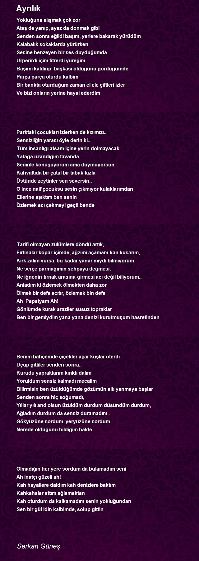 Serkan Güneş