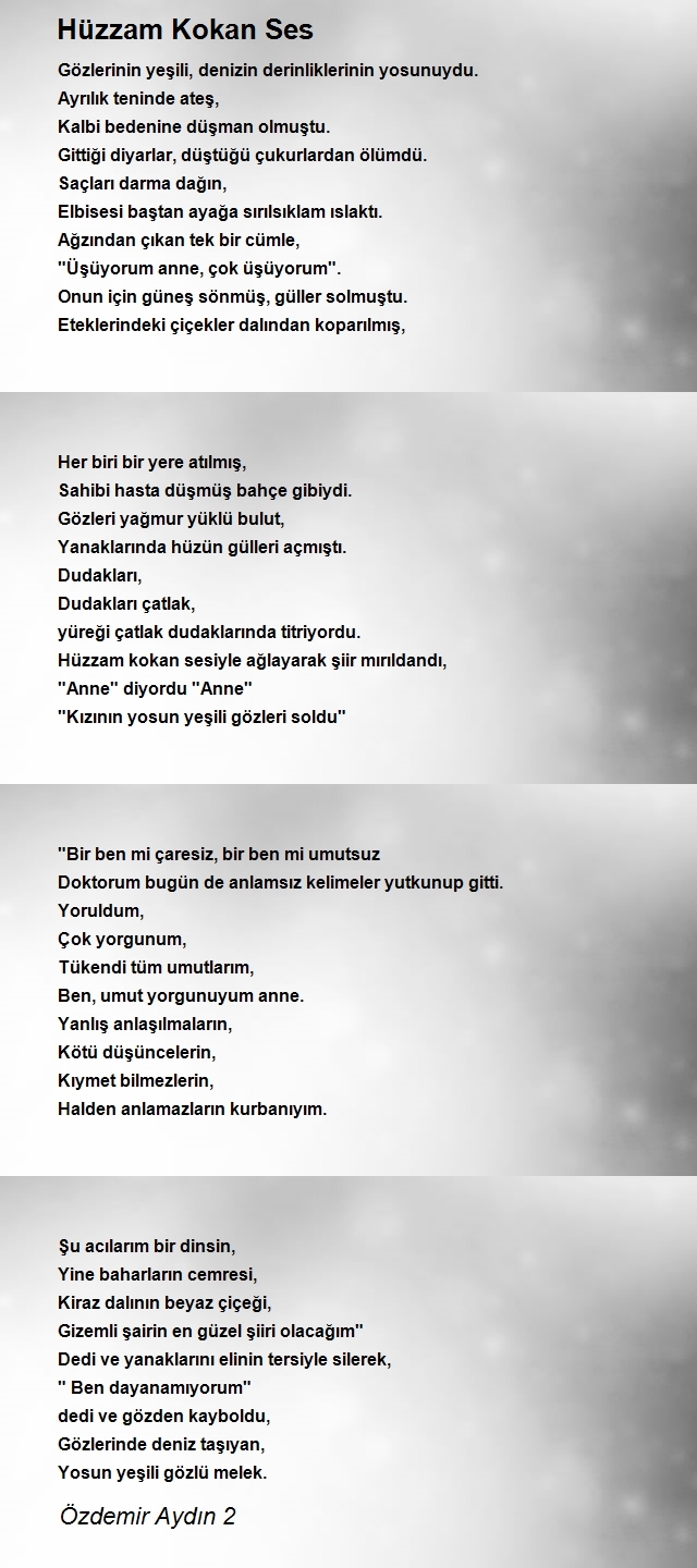 Özdemir Aydın 2
