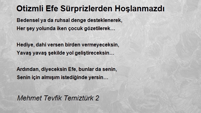 Mehmet Tevfik Temiztürk 2