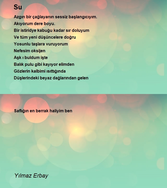 Yılmaz Erbay