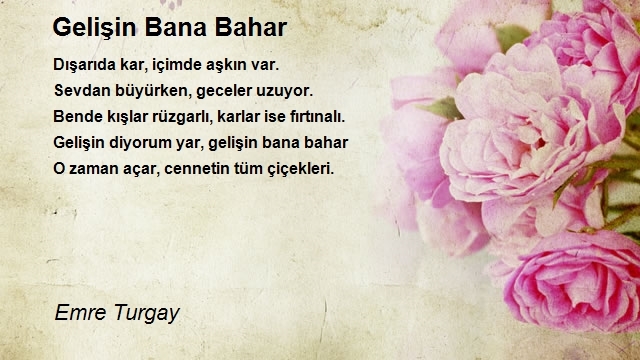 Emre Turgay