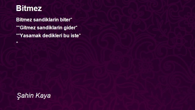 Şahin Kaya