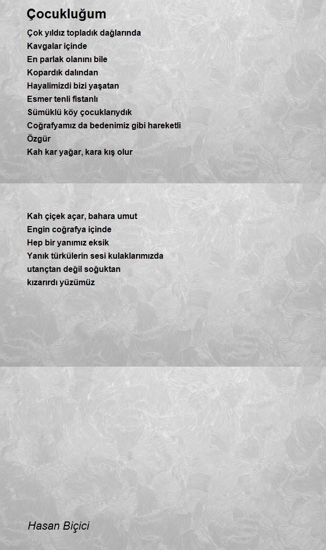Hasan Biçici