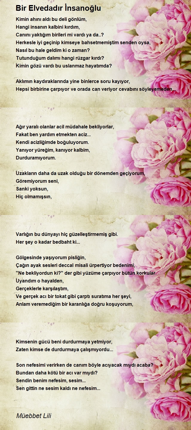 Müebbet Lili