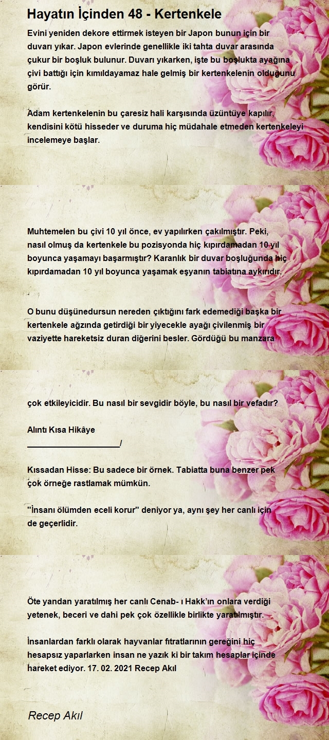 Recep Akıl