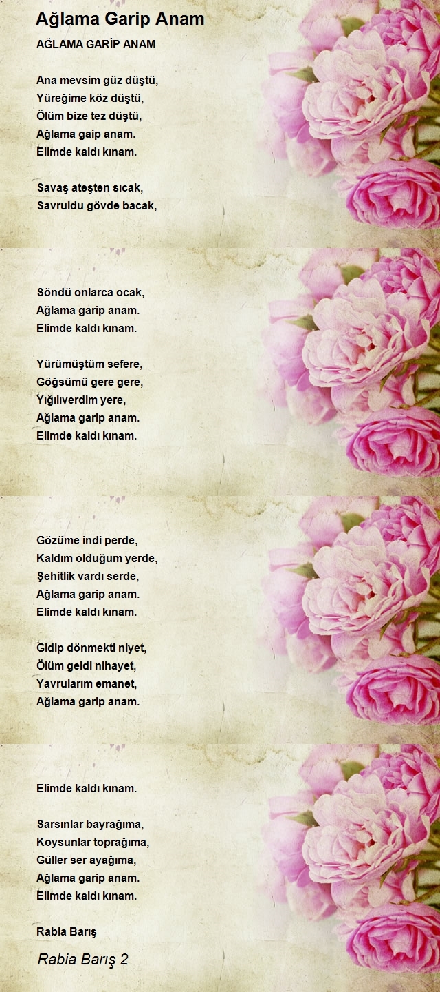 Rabia Barış 2