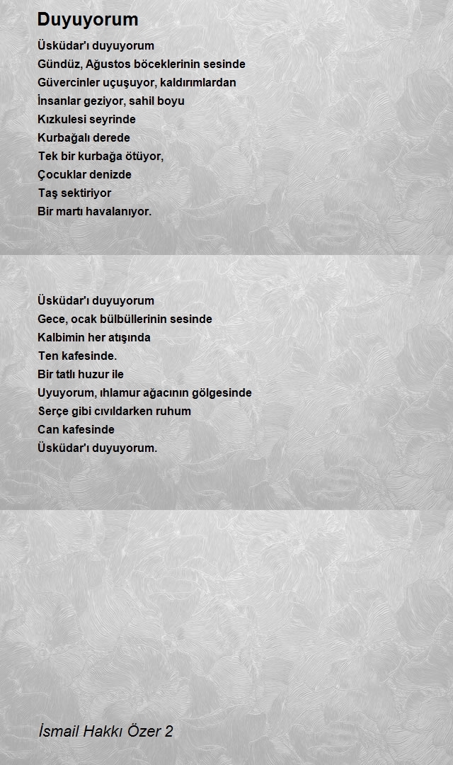 İsmail Hakkı Özer 2