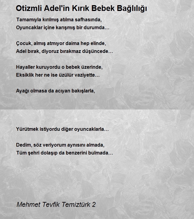 Mehmet Tevfik Temiztürk 2