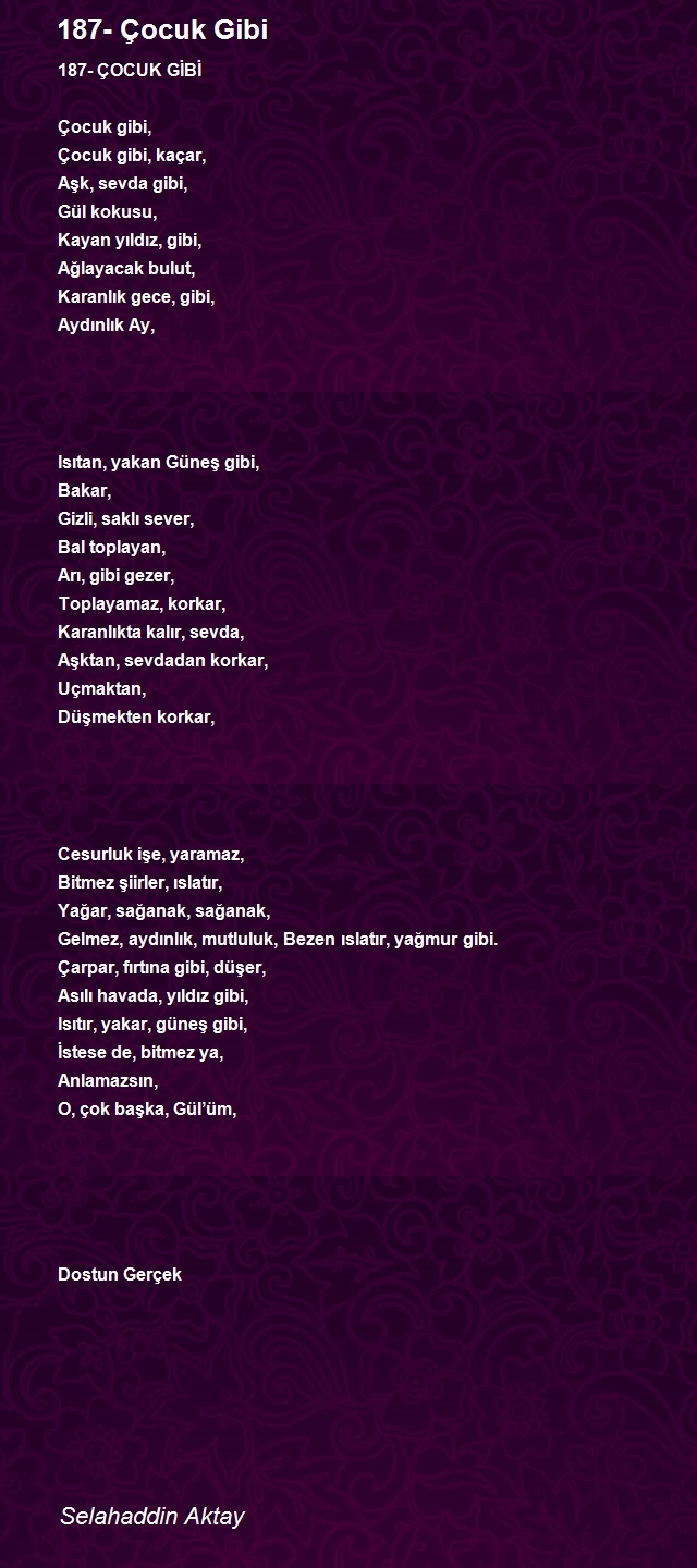 Selahaddin Aktay