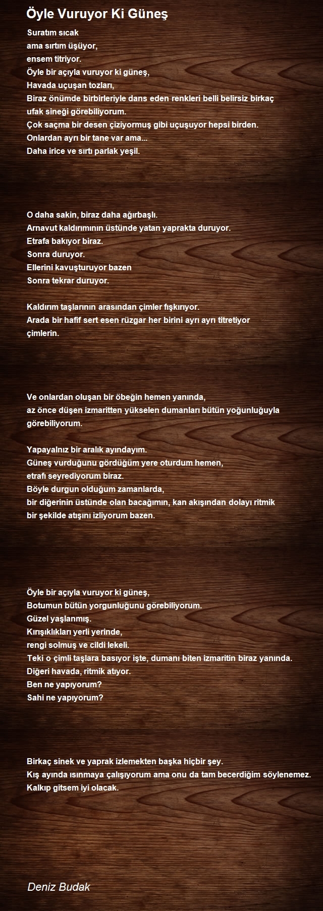 Deniz Budak