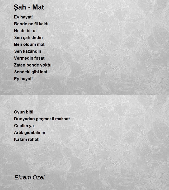 Ekrem Özel