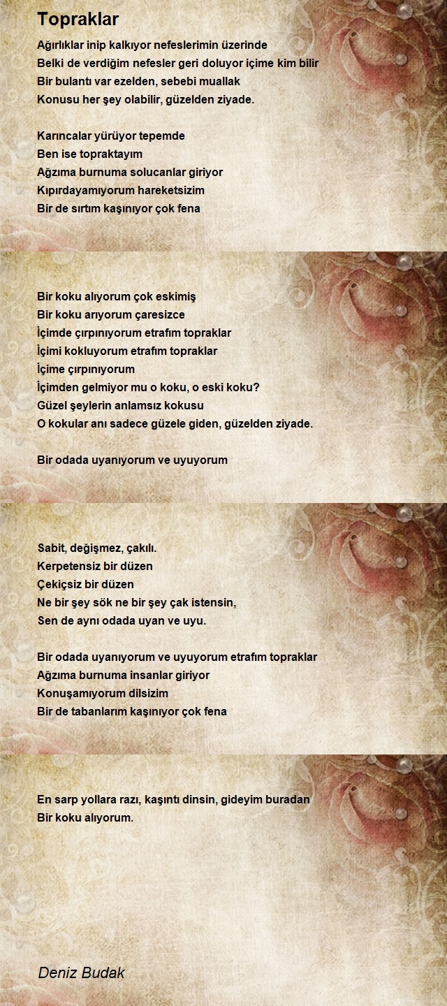 Deniz Budak
