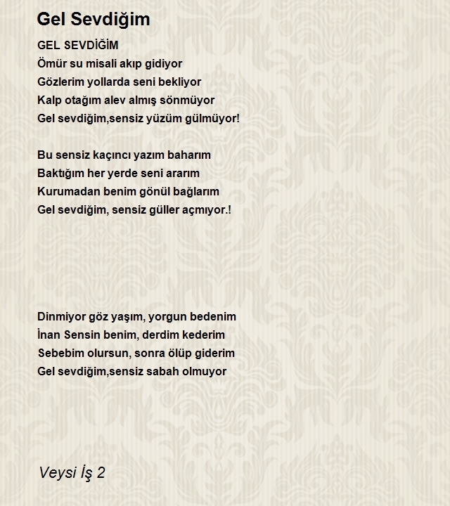 Veysi İş 2