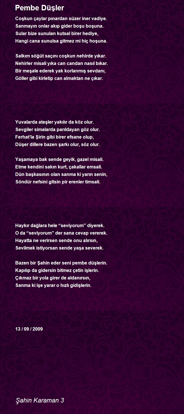 Şahin Karaman 3