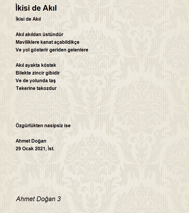 Ahmet Doğan 3