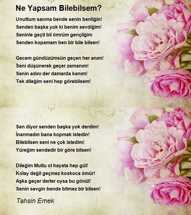 Tahsin Emek