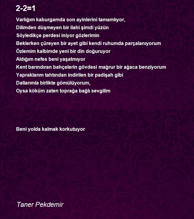 Taner Pekdemir
