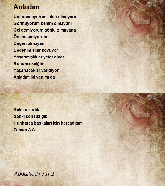 Abdülkadir Arı 2
