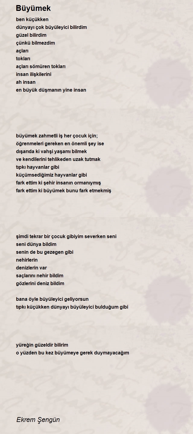Ekrem Şengün