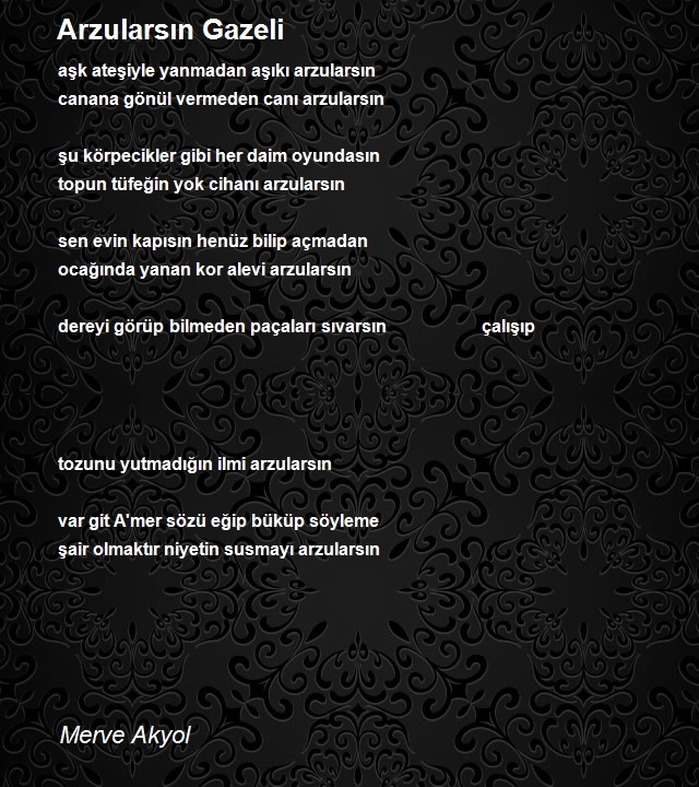 Merve Akyol