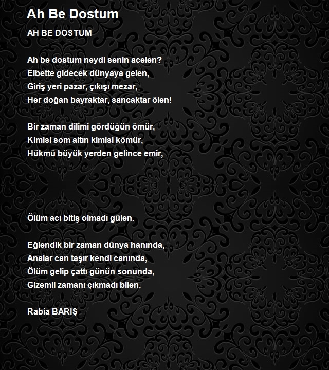 Rabia Barış 2