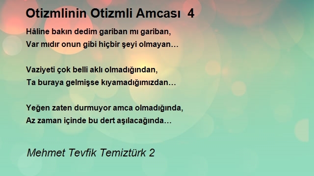 Mehmet Tevfik Temiztürk 2