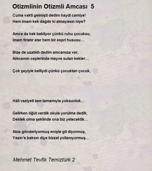 Mehmet Tevfik Temiztürk 2