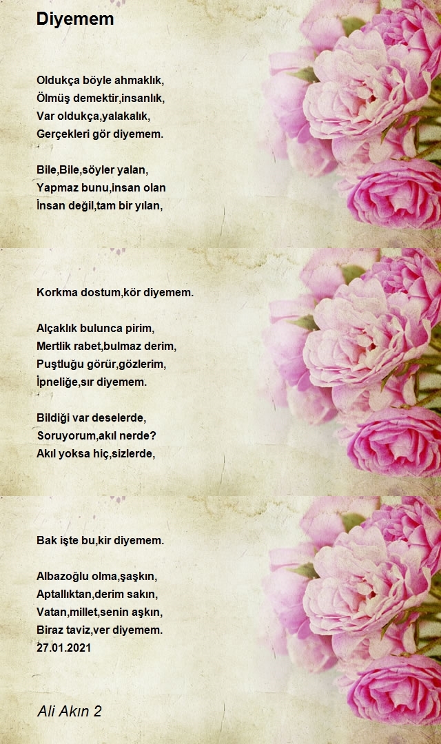 Ali Akın 2