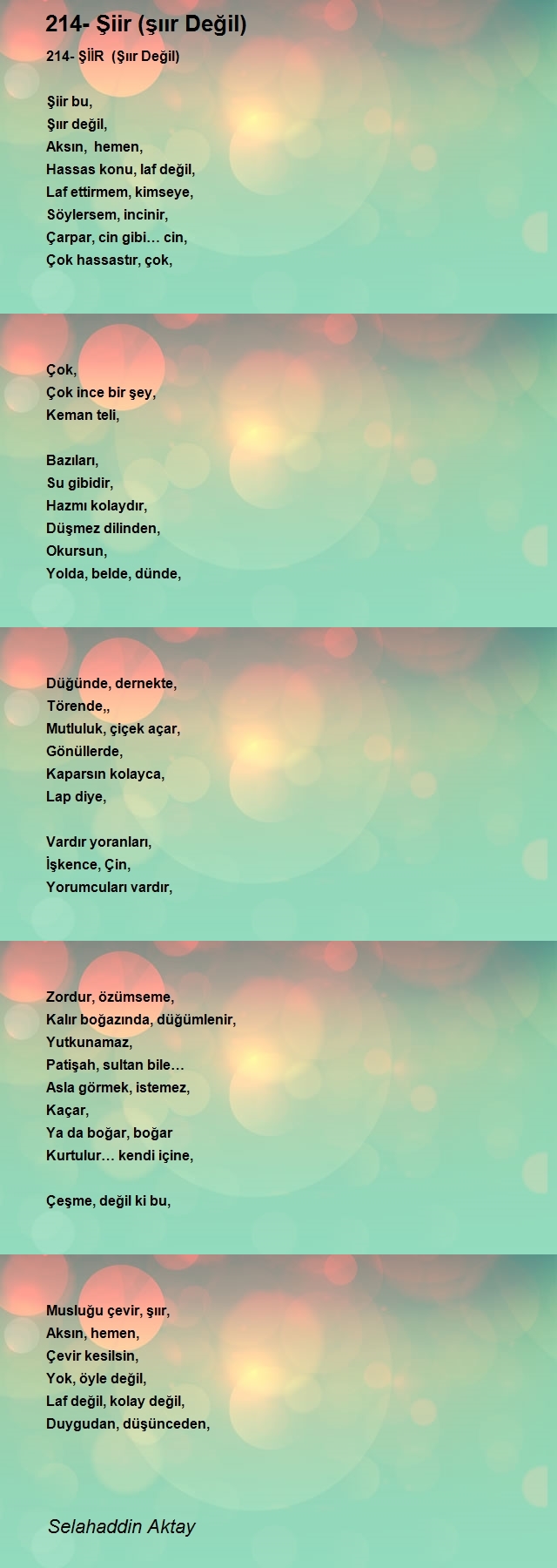 Selahaddin Aktay