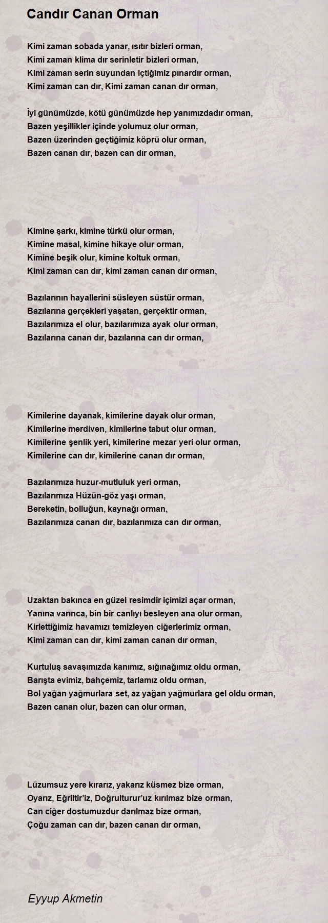 Eyyup Akmetin