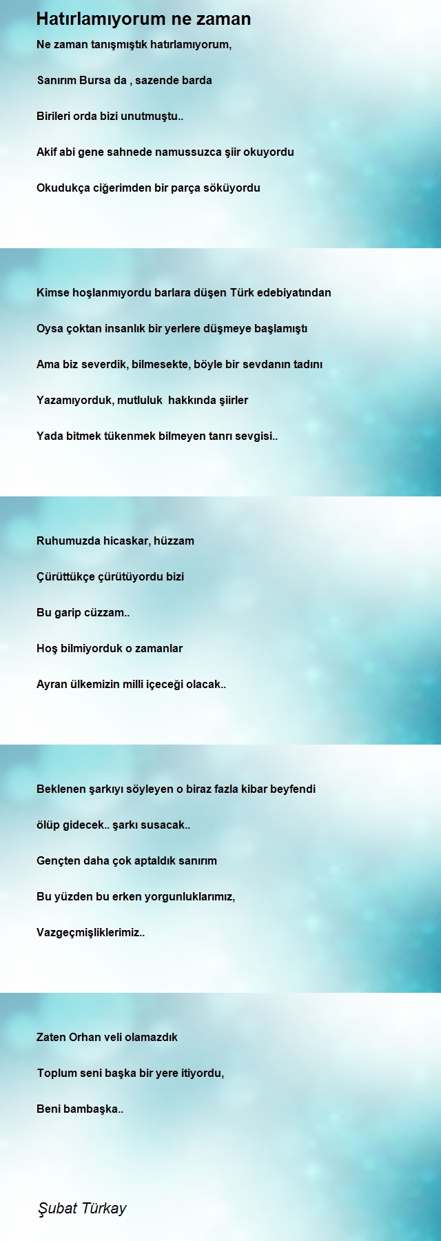 Şubat Türkay