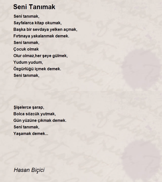 Hasan Biçici