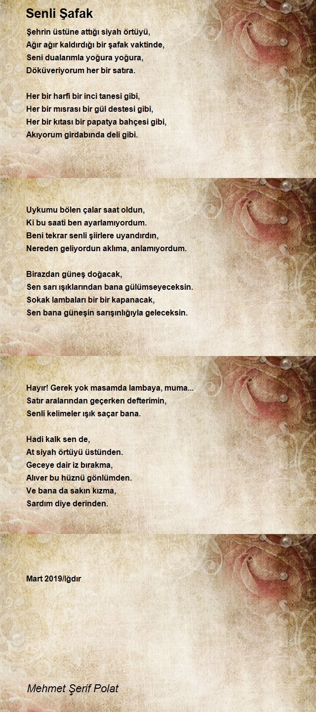 Mehmet Şerif Polat