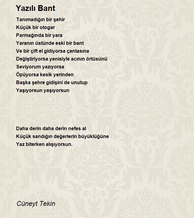 Cüneyt Tekin