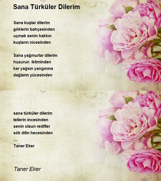 Taner Eker
