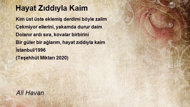 Ali Havan