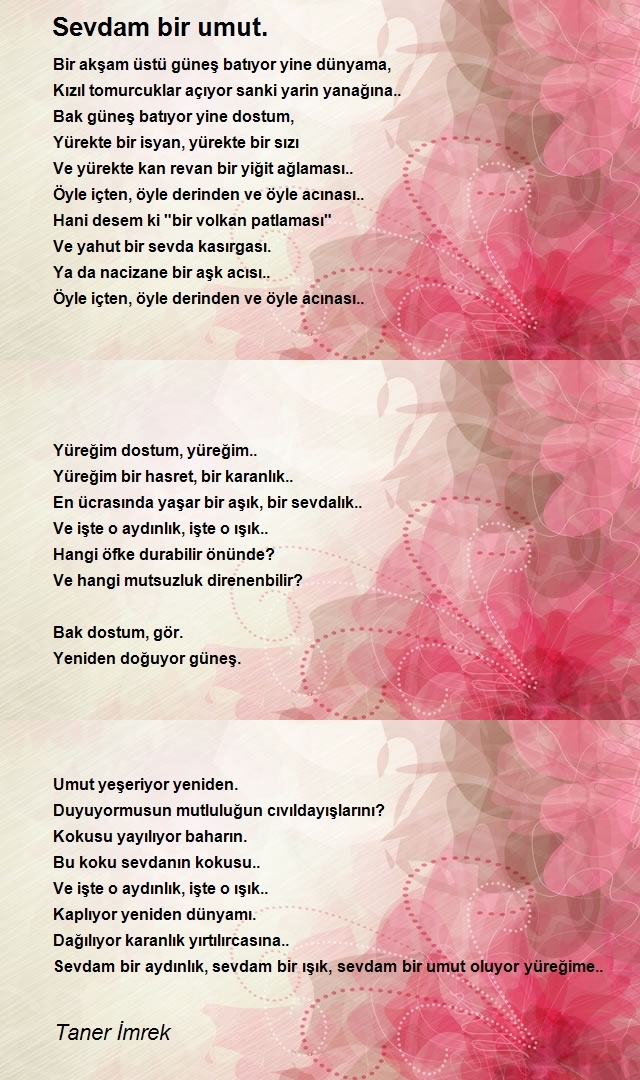 Taner İmrek
