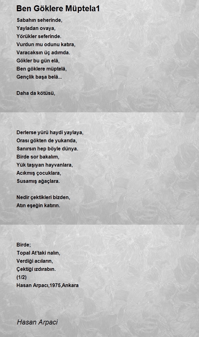 Hasan Arpaci