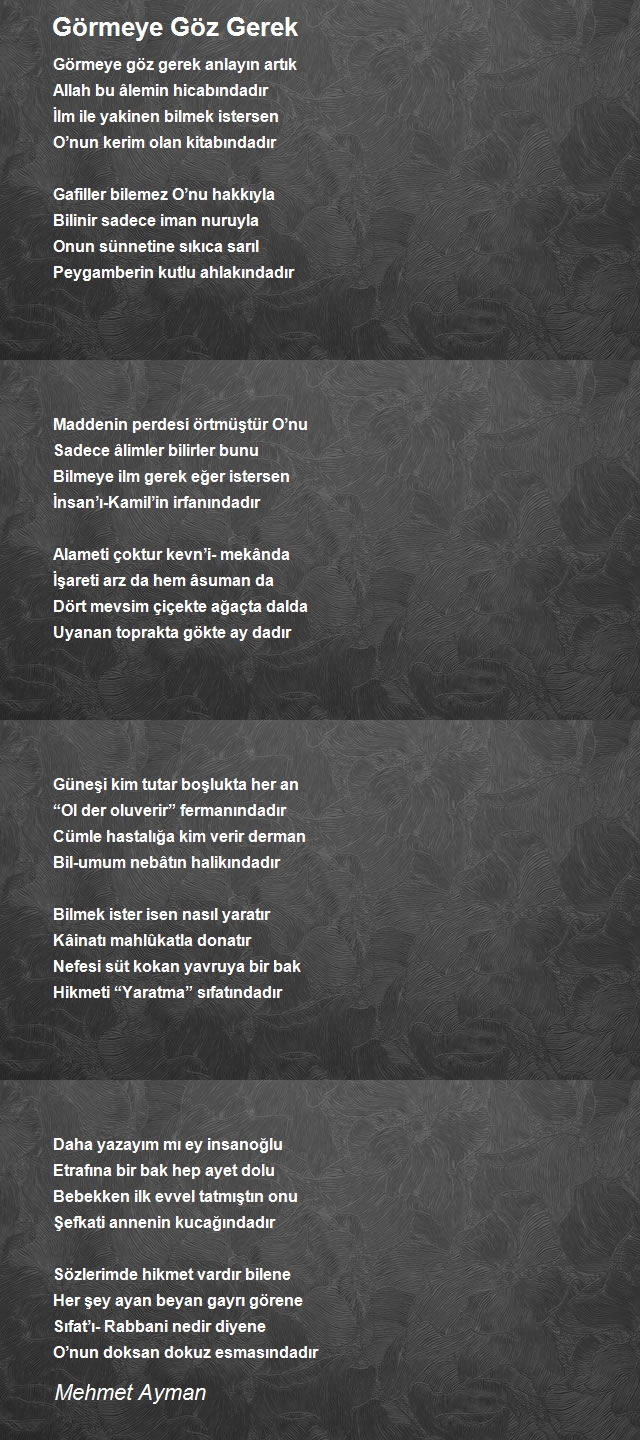 Mehmet Ayman