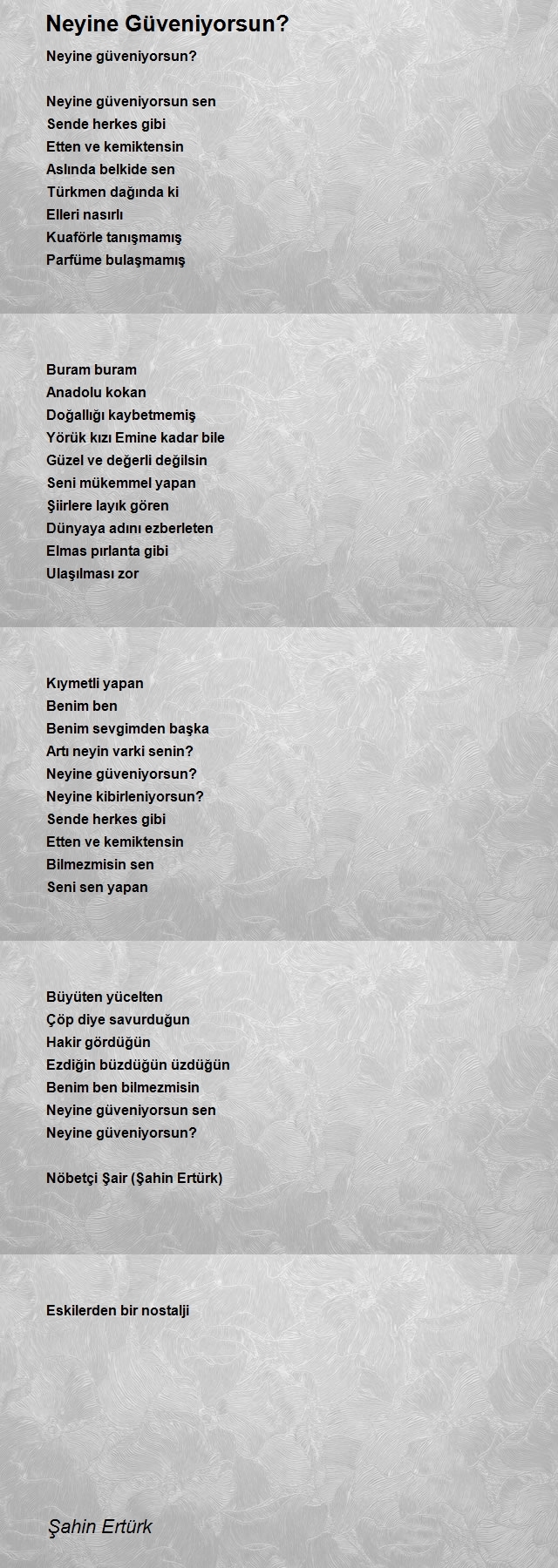 Şahin Ertürk