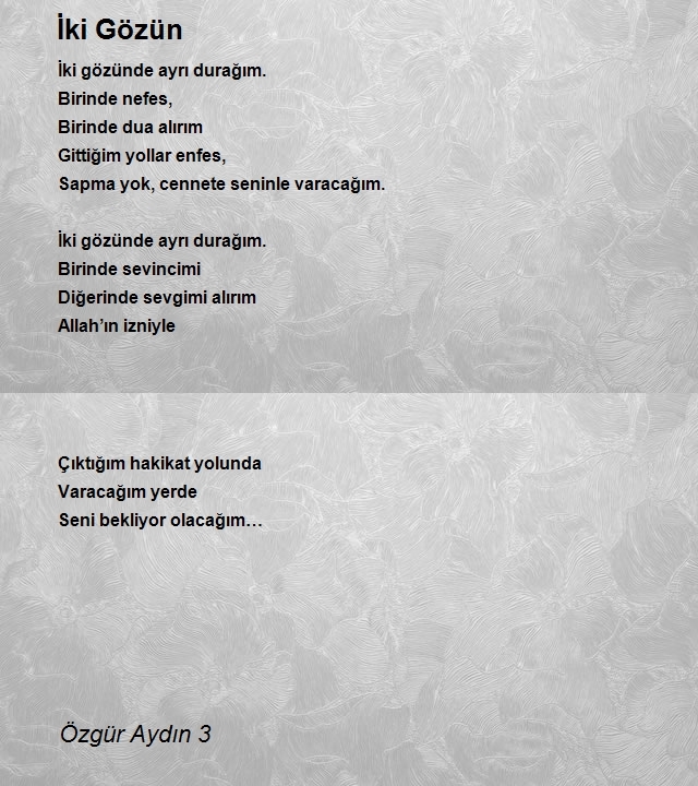 Özgür Aydın 3