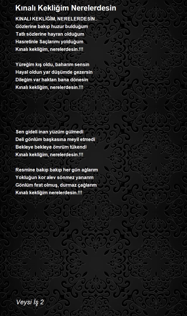 Veysi İş 2