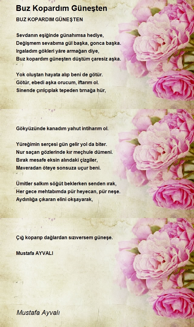 Mustafa Ayvalı
