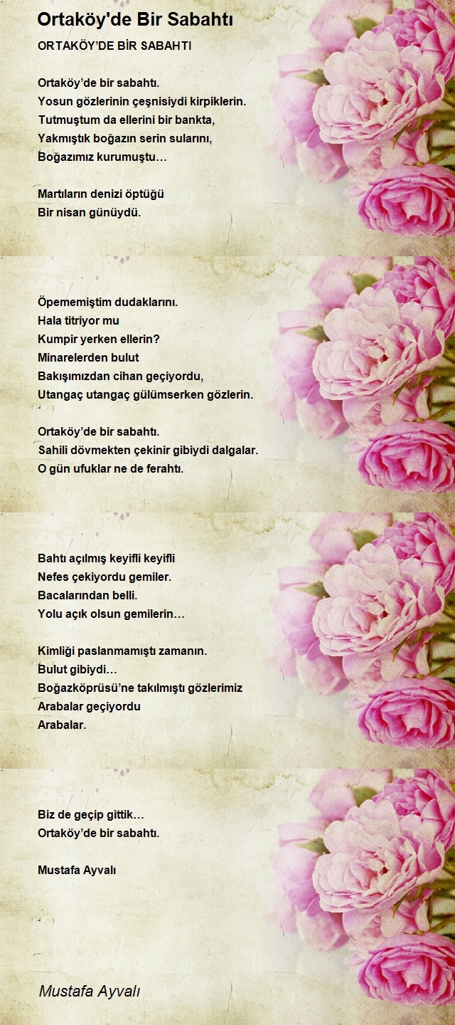 Mustafa Ayvalı