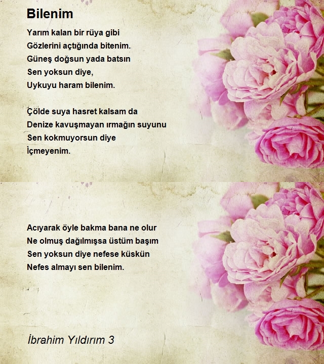 İbrahim Yıldırım 3